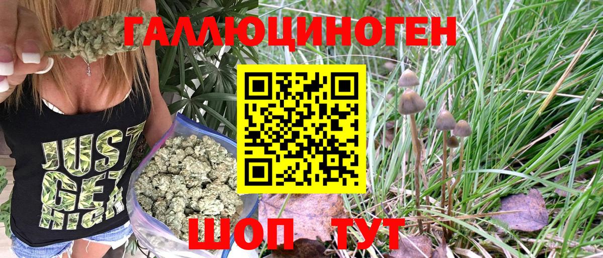 Чайковский  Галлюциногенные грибы Psilocybe  Вход с VPN  Псилоцибиновые грибы ЛСД 